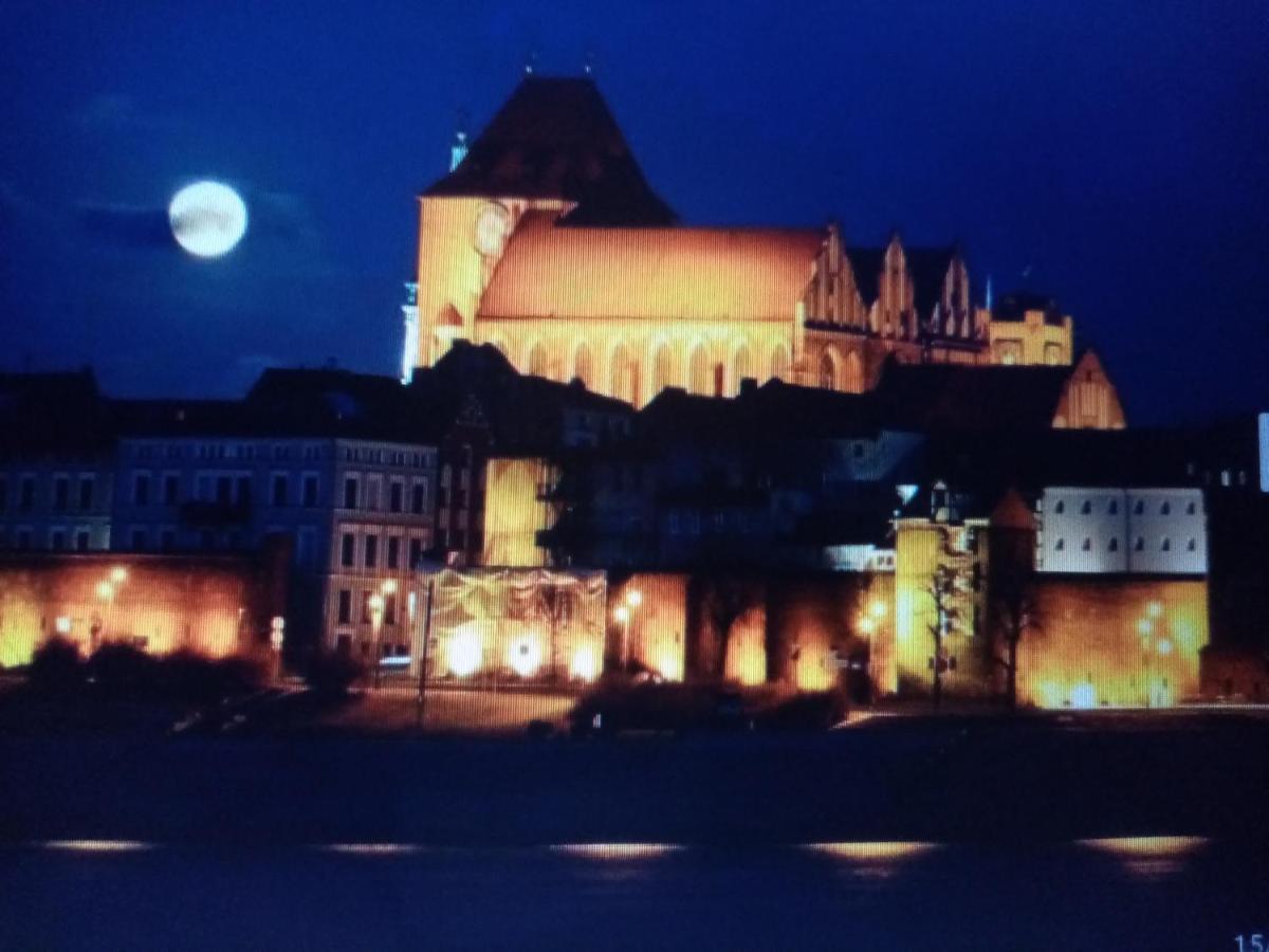Art - Modern / Old Town - Torun