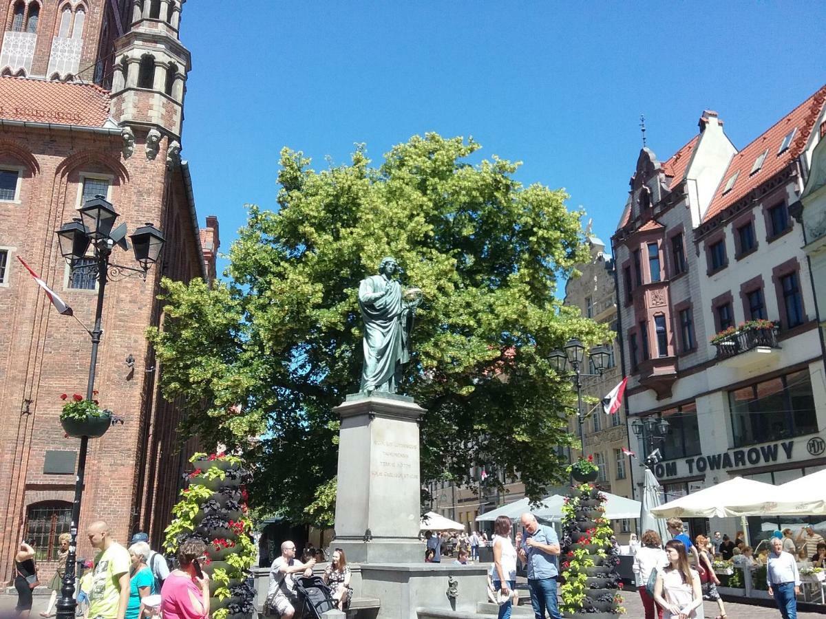 Art - Modern / Old Town - * Torun